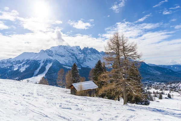 Montañas Con Árboles Invierno — Foto de Stock