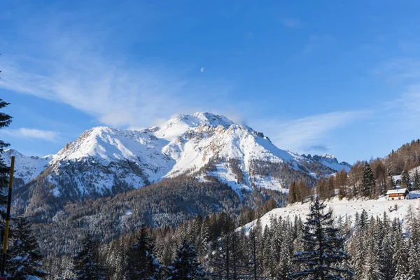 Montagnes Rocheuses Hiver Arbres Forestiers Ciel Bleu — Photo