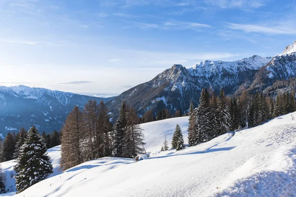 Bergen Winter Seizoen Bos Bomen Blauwe Hemel Met Zonnig Weer — Stockfoto