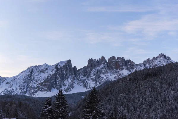 Rocky Mountains Winter Season Forest Trees — Stock Photo, Image