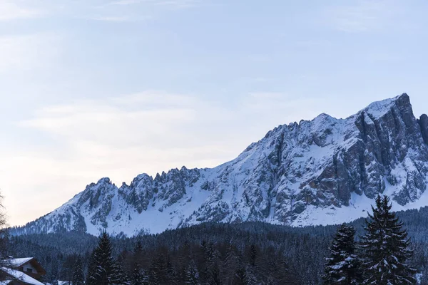 Rocky Mountains Winter Seizoen Bos Bomen — Stockfoto