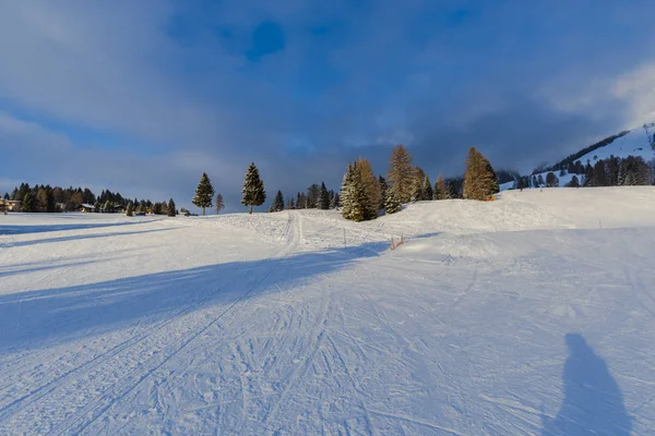 Skigebiet Winter Berge Wachsende Bäume Auf Der Skipiste — Stockfoto