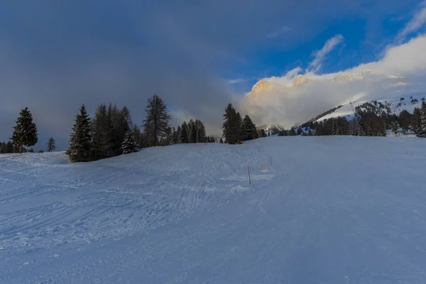 Ski Resort Winter Mountains Growing Trees Ski Slope — Stock Photo, Image