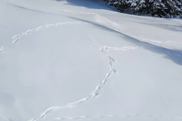 Paesaggio Innevato Inverno Immagine Full Frame — Foto Stock