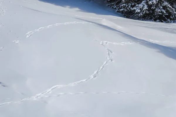 Paesaggio Innevato Inverno Immagine Full Frame — Foto Stock