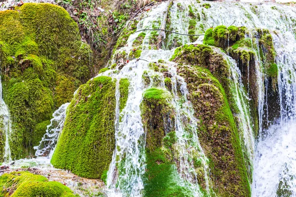 Vista Incrível Córrego Fluindo Floresta Início Primavera — Fotografia de Stock