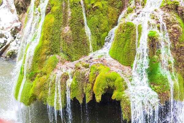 Vista Incrível Córrego Fluindo Floresta Início Primavera — Fotografia de Stock