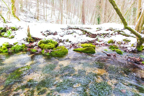 Fluxo Rio Floresta Inverno — Fotografia de Stock