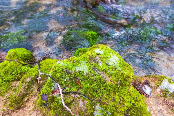 Corriente Con Piedras Musgosas — Foto de Stock