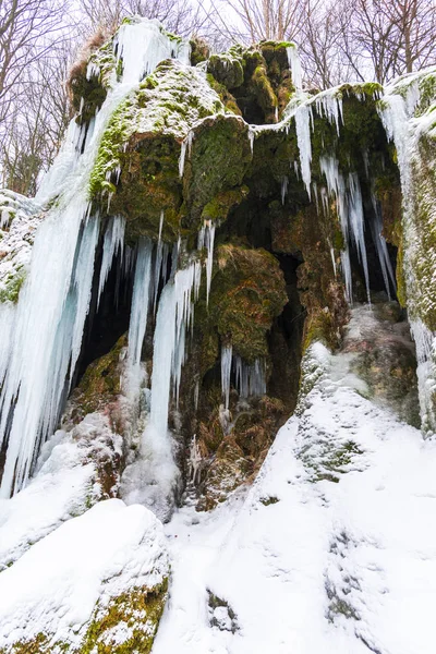 Blick Auf Gefrorenen Bach Frühjahrswald — Stockfoto