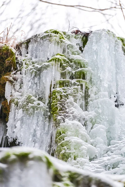 Blick Auf Gefrorenen Bach Frühjahrswald — Stockfoto