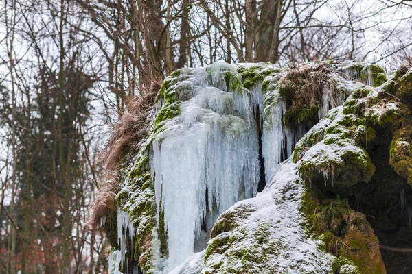 Blick Auf Gefrorenen Bach Frühjahrswald — Stockfoto