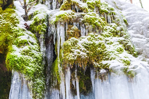 Vue Rapprochée Ruisseau Gelé Début Printemps — Photo