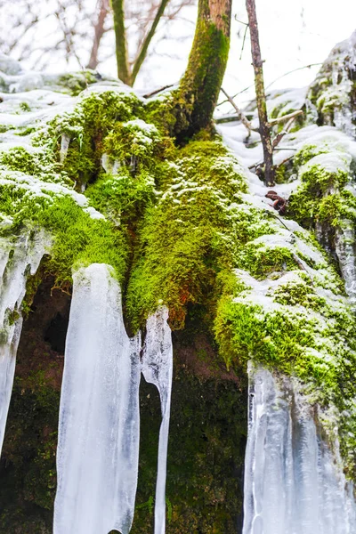 Close View Frozen Stream Early Spring Forest — Stock Photo, Image