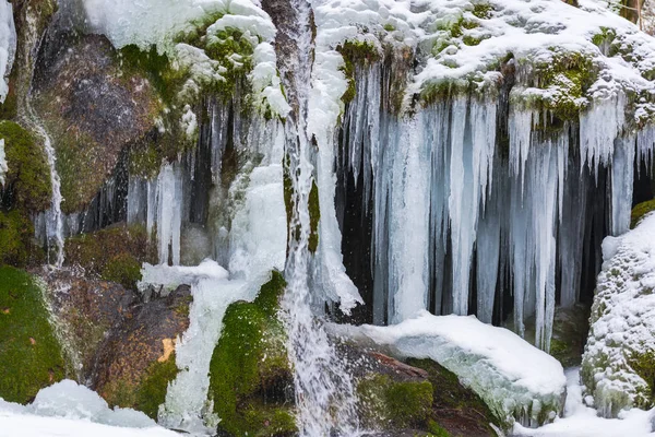 Близкий Взгляд Замерзший Ручей Раннем Весеннем Лесу — стоковое фото