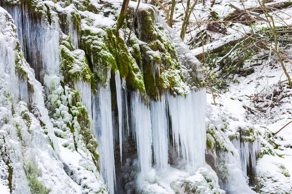 Close View Frozen Stream Early Spring Forest — Stock Photo, Image