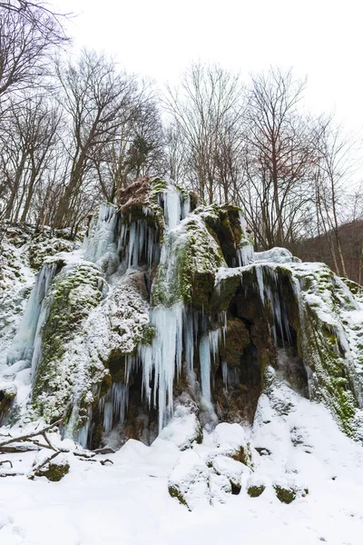 Erken Bahar Orman Donmuş Akımı Ile Peyzaj — Stok fotoğraf