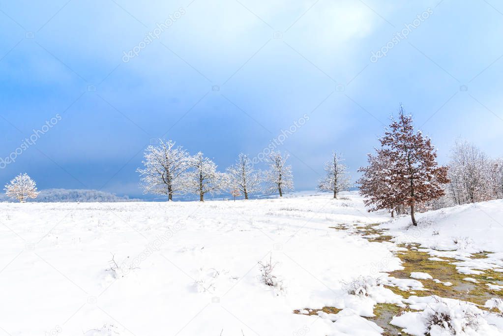 blue sky above snow covered countryside landscape field 