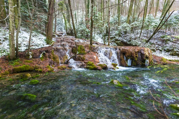 Ранній Весняний Ліс Снігом Голі Дерева Струмок — стокове фото