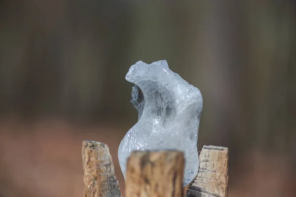 Gesneden Boomstam Met Ijs Binnen — Stockfoto