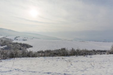Ağaçlar ve bitkiler ile karlı dağlar.