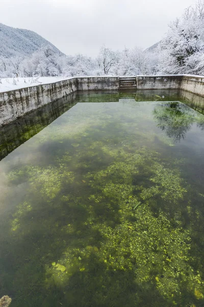 Abandoned pool with green water in winter forest