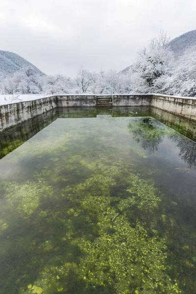 Abandoned pool with green water in winter forest