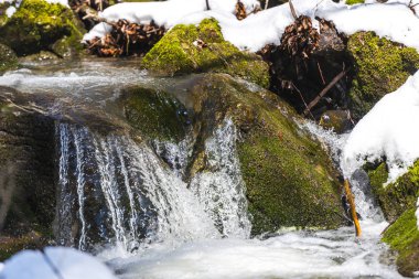 Kış akışı yosunlu dalları, kar ve buz sarkıtları ile.