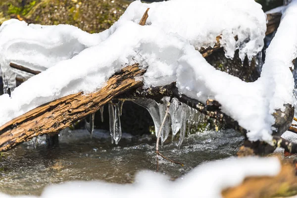 Winter Stream Mossy Branches Snow Icicles — Stock Photo, Image