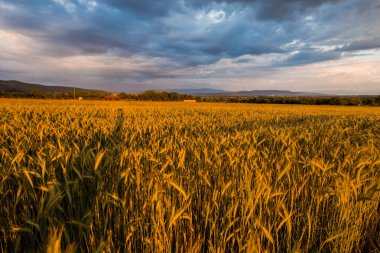 Doğa muhteşem günbatımı