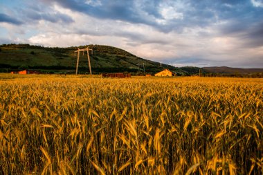 Doğa muhteşem günbatımı