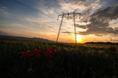 Doğa muhteşem günbatımı