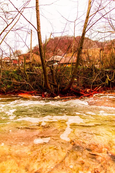 Detaily Autumském Lese Přírodním Pozadí — Stock fotografie