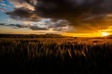 Doğa muhteşem günbatımı