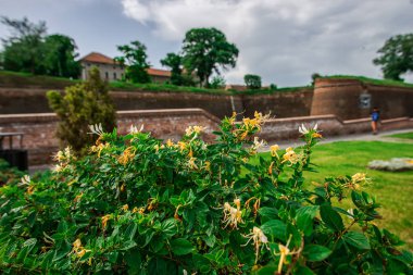 Orta Çağ kalesi Alba Iulia, Romanya'nın ayrıntıları.