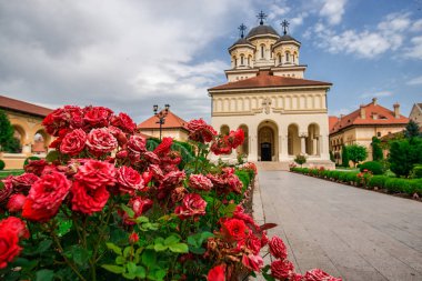 Kilise bahçesinde düzenli kırmızı güller