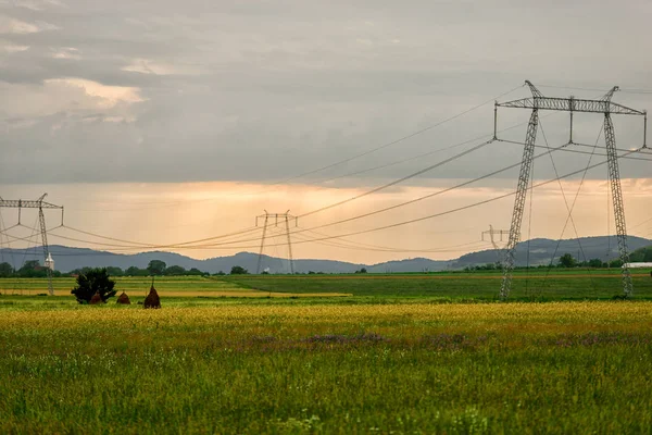 Green field with electricity poles