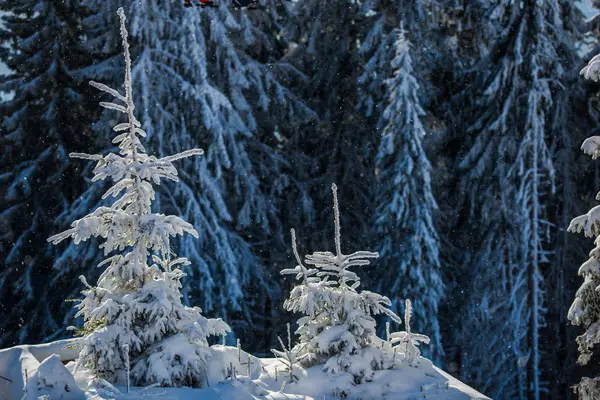 Incroyable Paysage Montagnes Hiver — Photo