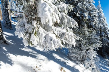 Muhteşem kış manzara görünümü