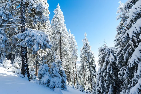 Increíble Vista Del Paisaje Invierno — Foto de Stock