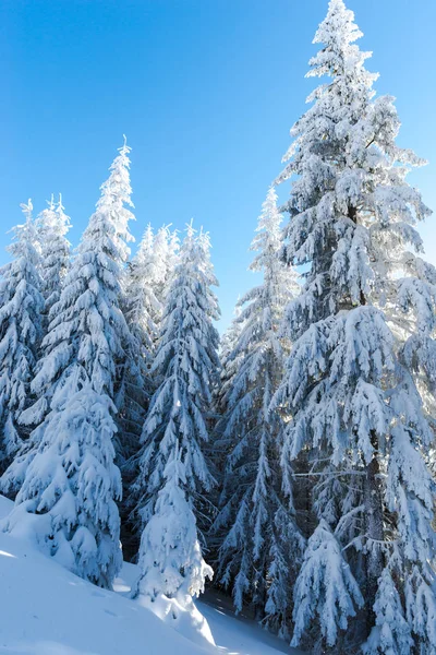 Increíble Vista Del Paisaje Invierno — Foto de Stock