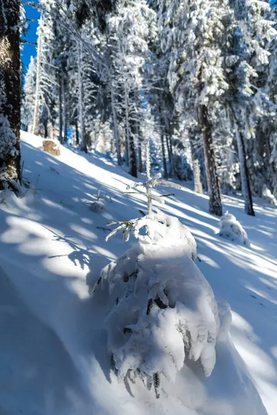 Muhteşem kış manzara görünümü