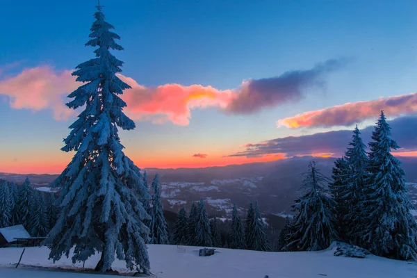 Muhteşem Kış Manzara Görünümü — Stok fotoğraf