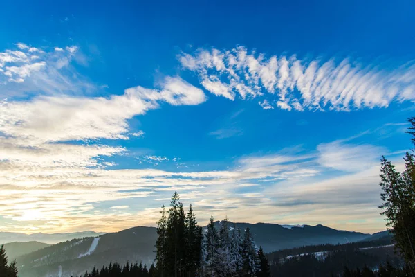 Úžasný Výhled Zimní Krajinu — Stock fotografie