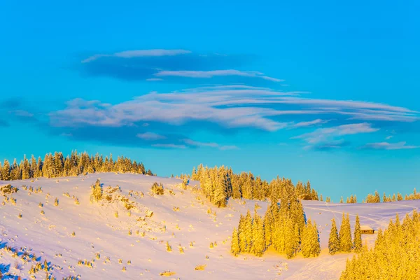 令人惊叹的冬季景观景观 — 图库照片