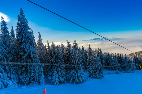 Muhteşem kış manzara görünümü