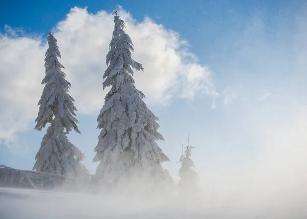 Erstaunliche Winterlandschaft Blick — Stockfoto
