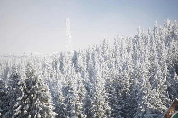Amazing Winter Landscape View — Stock Photo, Image