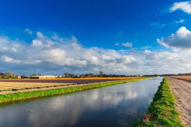 Renkli çiçek açan çiçek alan nehir ile