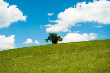 güneşli bir gün bahar peyzaj